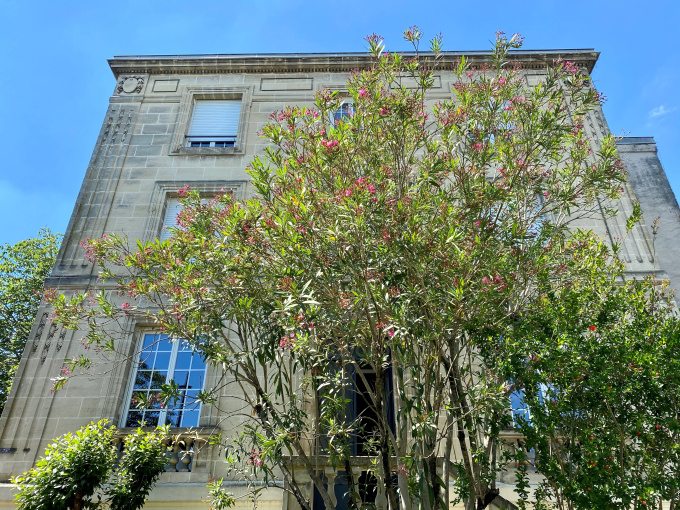 Offres de location Appartement Bordeaux (33000)
